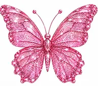 butter fly n1 new.webp