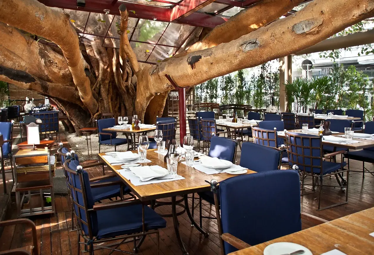 A Figueira Rubaiyat - majestic tree inside 