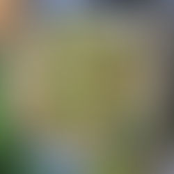 Jamaican Jerk Popcorn