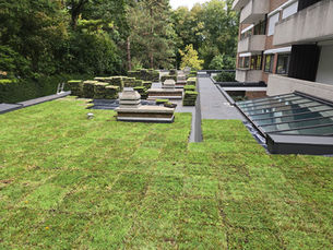 Van groendak tot cool roof: één slimme basis met Alphathor