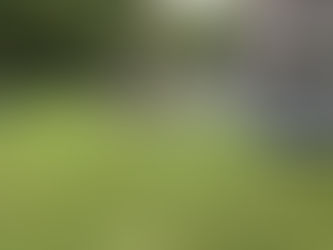 Van groendak tot cool roof: één slimme basis met Alphathor