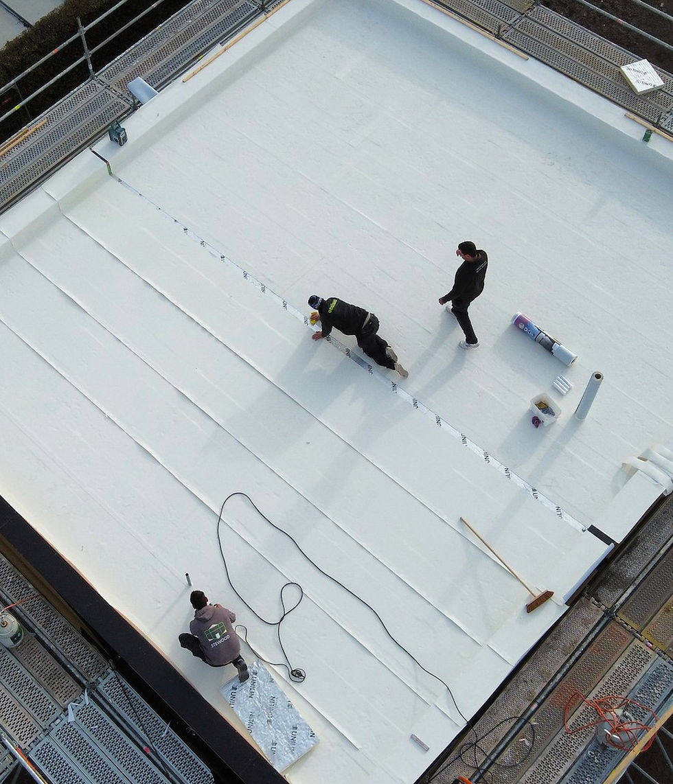 witte epdm dakbedekking Alphathor Snow