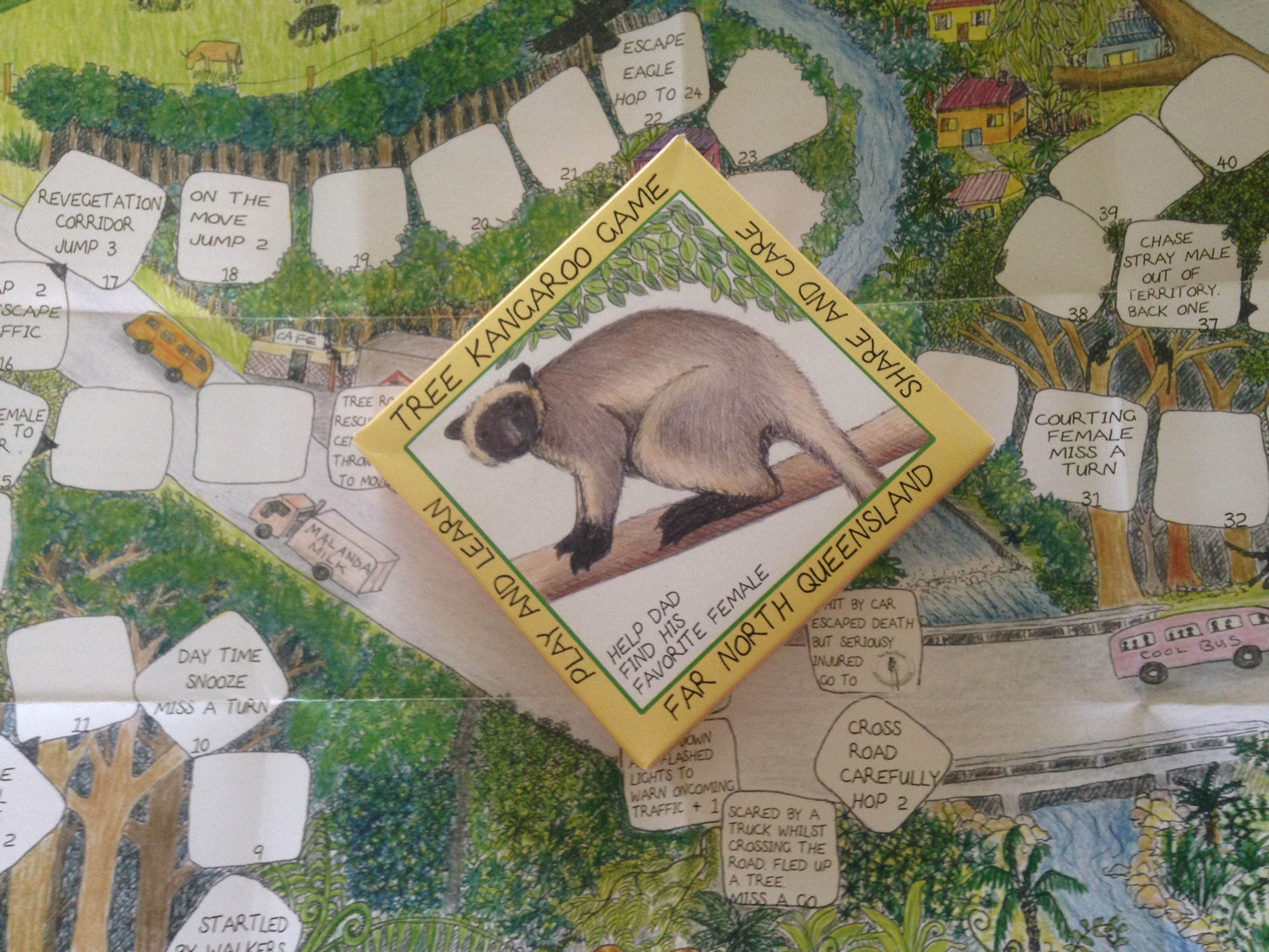 Tree Kangaroo Game