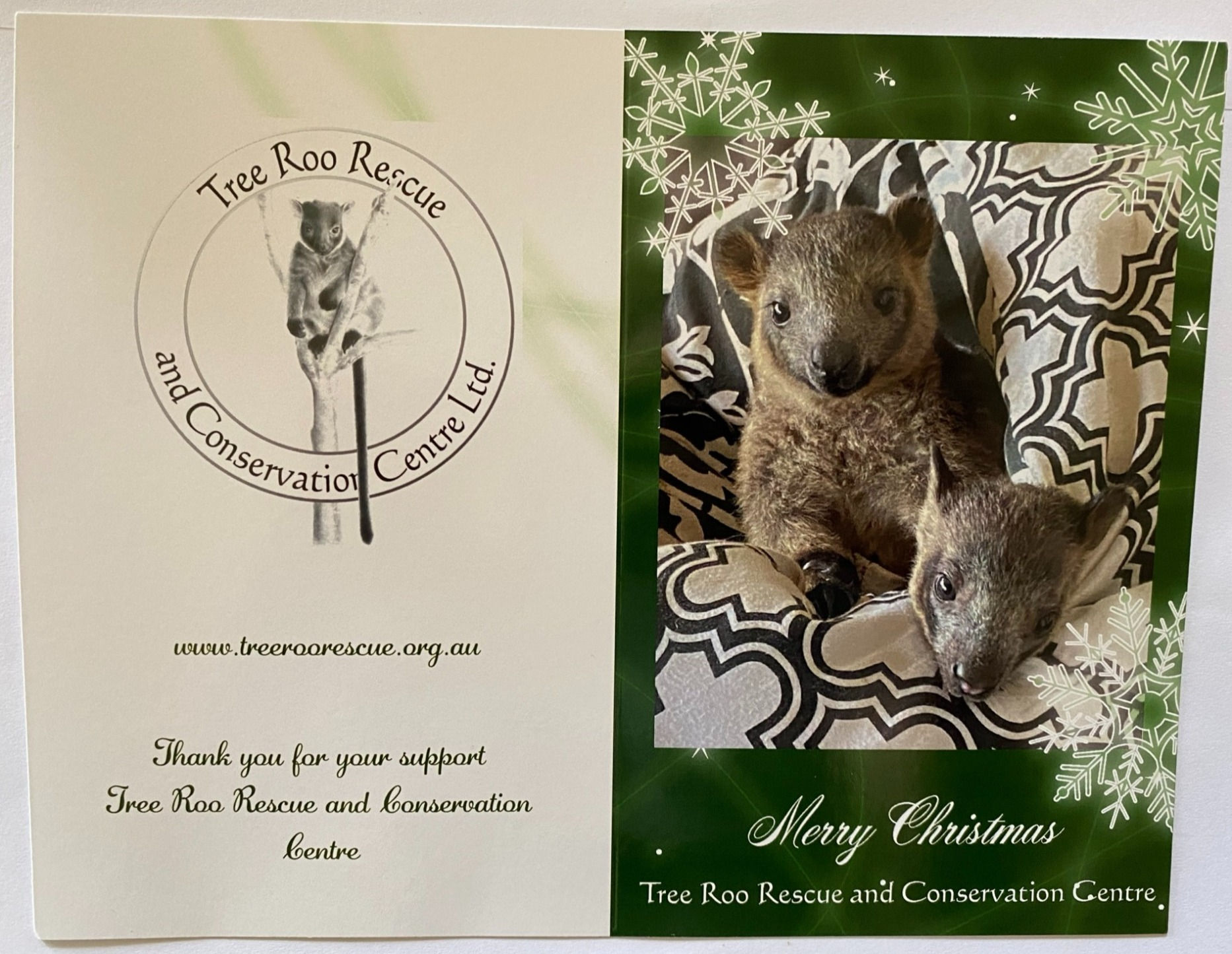 xmas cards, BiBi and Charlie