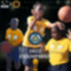PG Cover