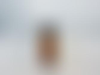 Diferença entre Absorção e Adsorção: Entenda os Conceitos e Suas Aplicações Científicas