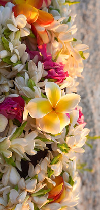 Tropical flower lei resting above lanikai beach in Hawai‘i