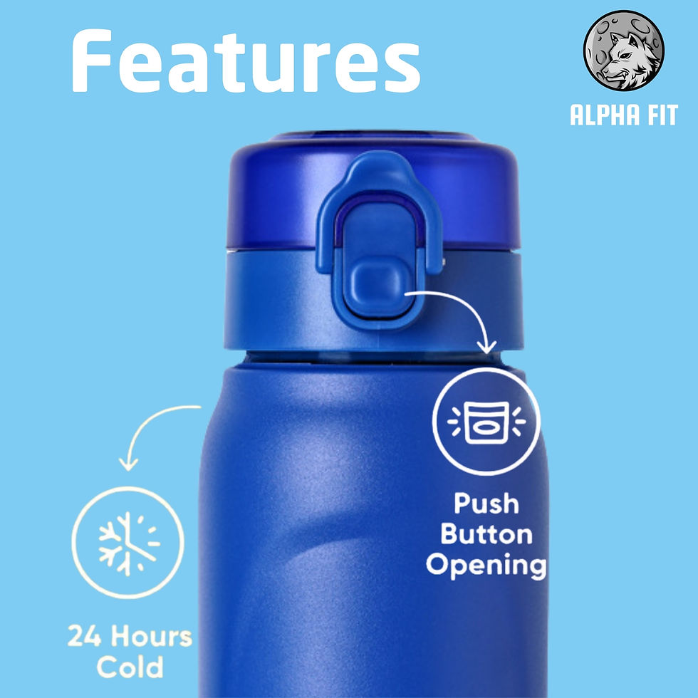 Thumbnail: alpha fit air up flavored water bottle stainless steal water bottle