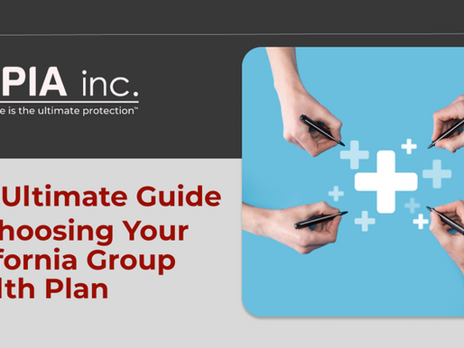 The Ultimate Guide to Choosing Your Group Health Plan