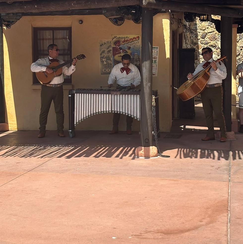 Marimba de las Americas performing with various instruments
