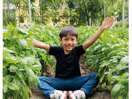 Meer groen meer leven meer toekomst in Barranquilla, Colombia.