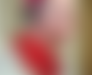 Nieuwjaarsontmoeting van het bisdom Breda.