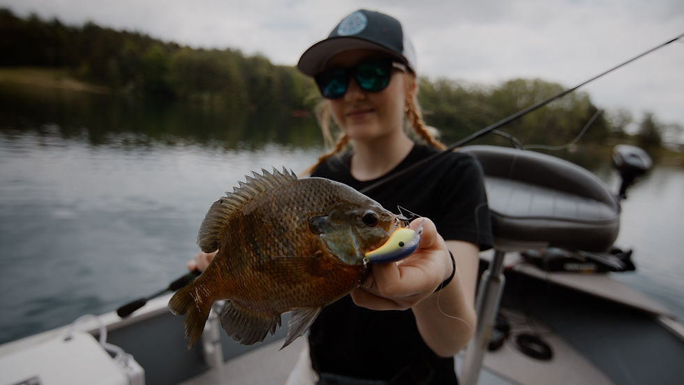 Deer Creek Bluegill Frame Grabs.00_00_00_03.Still004.JPG