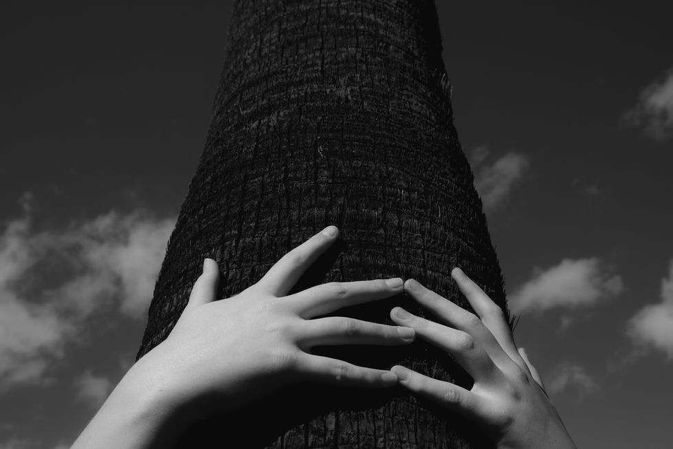 palm to palm-0742