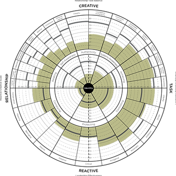 Leadership Circle Profile