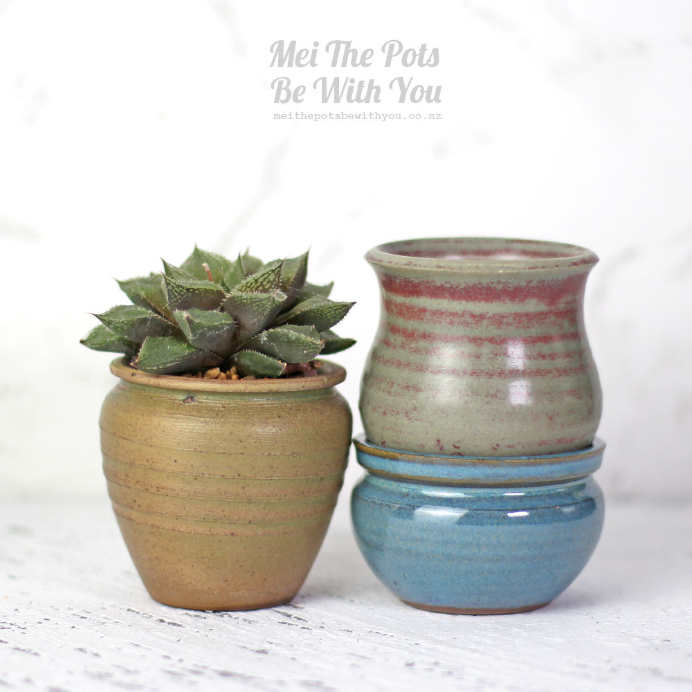 PA34-2 | Handmade Stoneware Succulent Pot