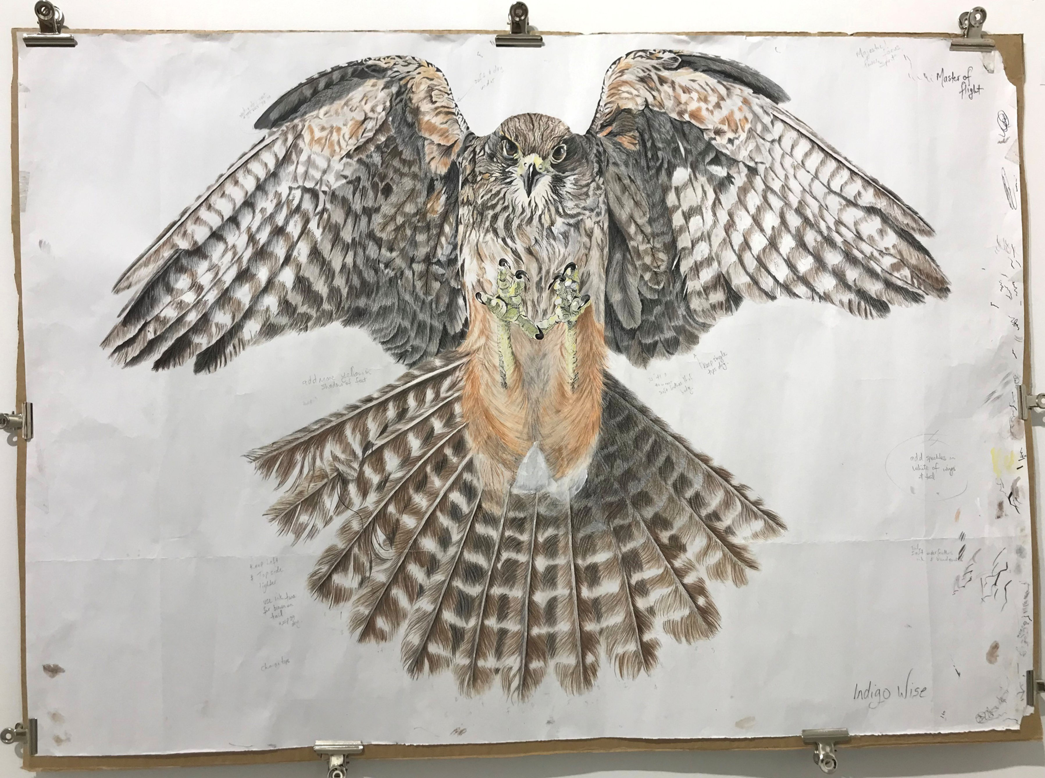 Master of Flight by Indigo Wise