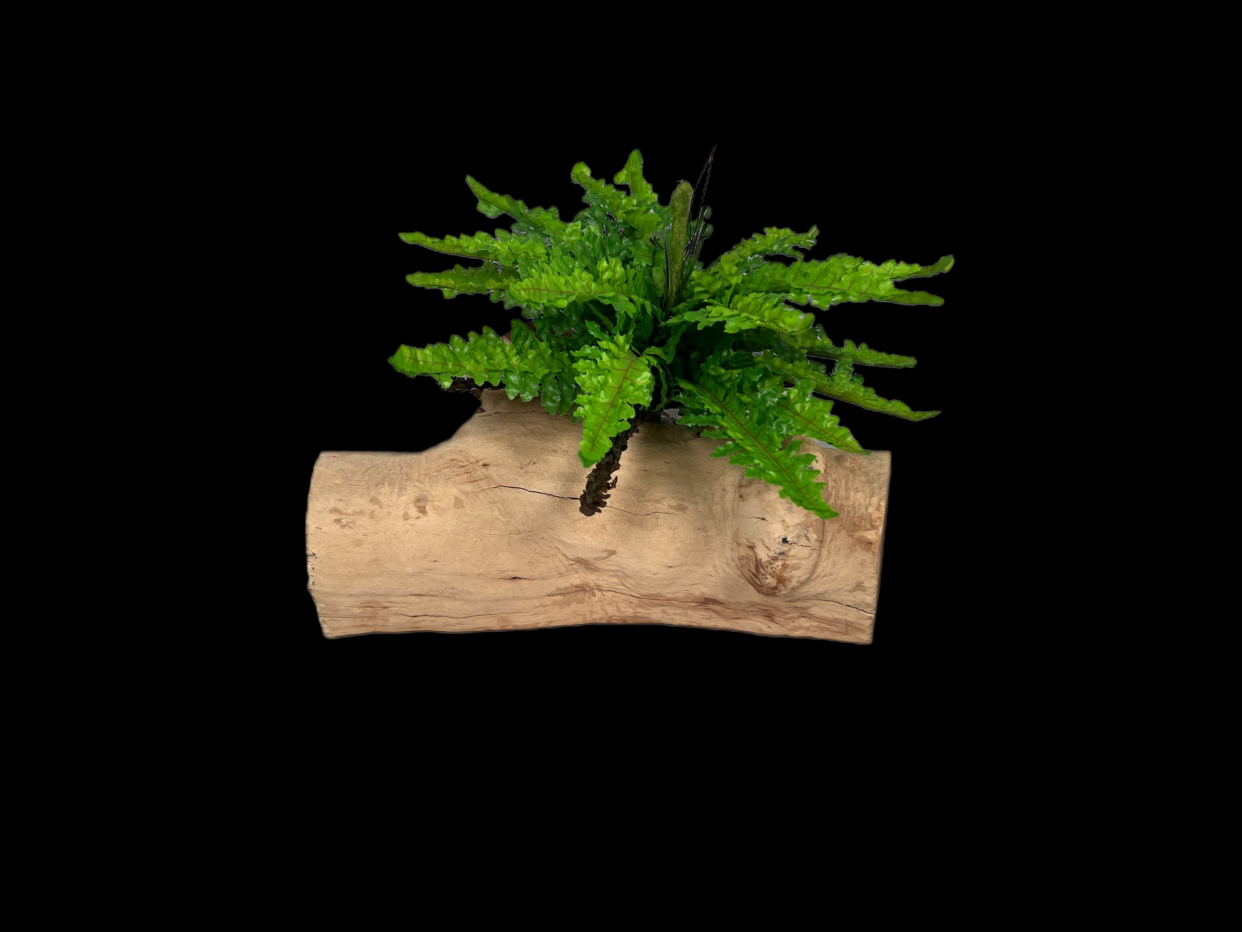 Decorative Wood , Cork