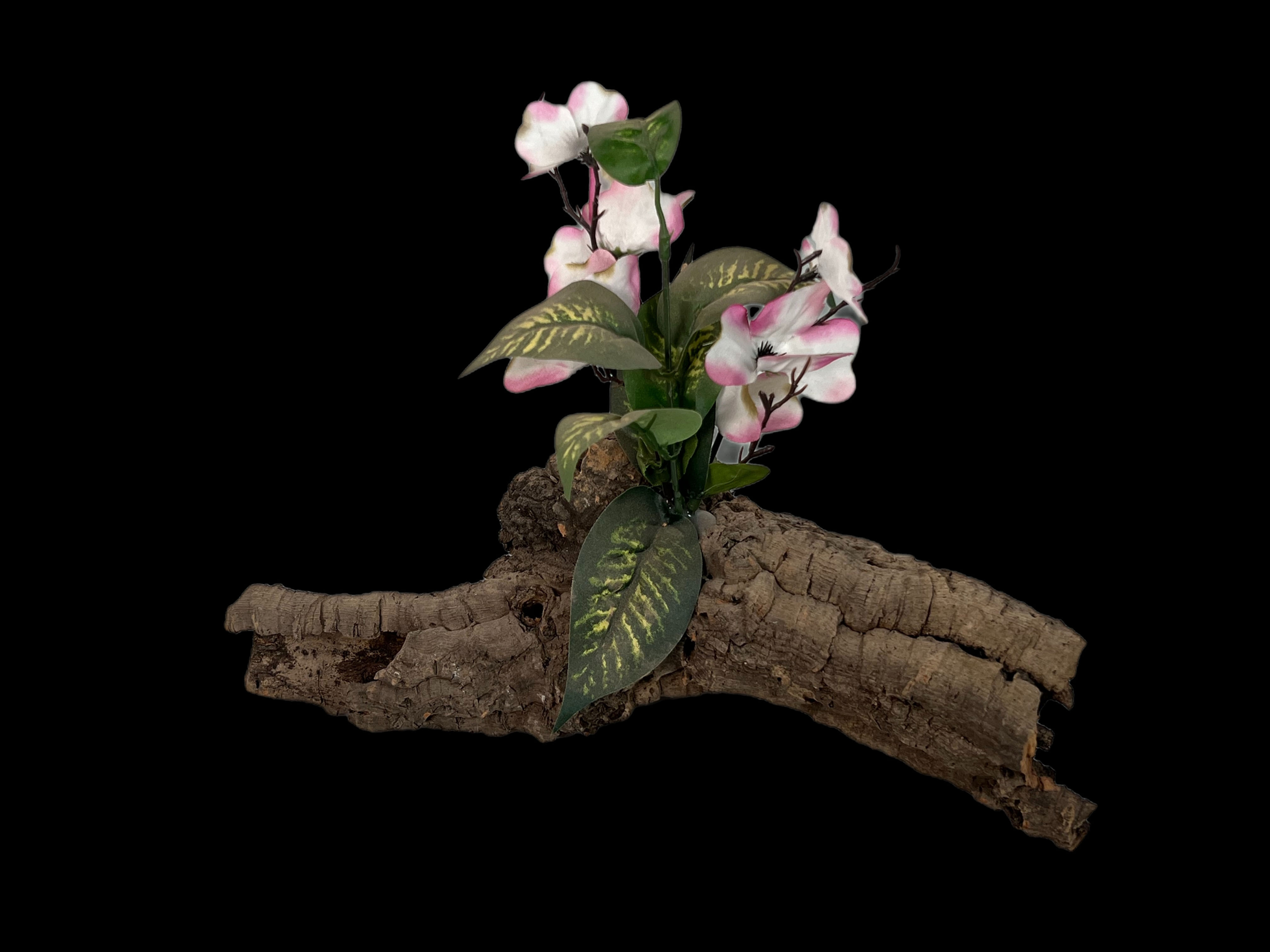 Decorative Wood , Cork