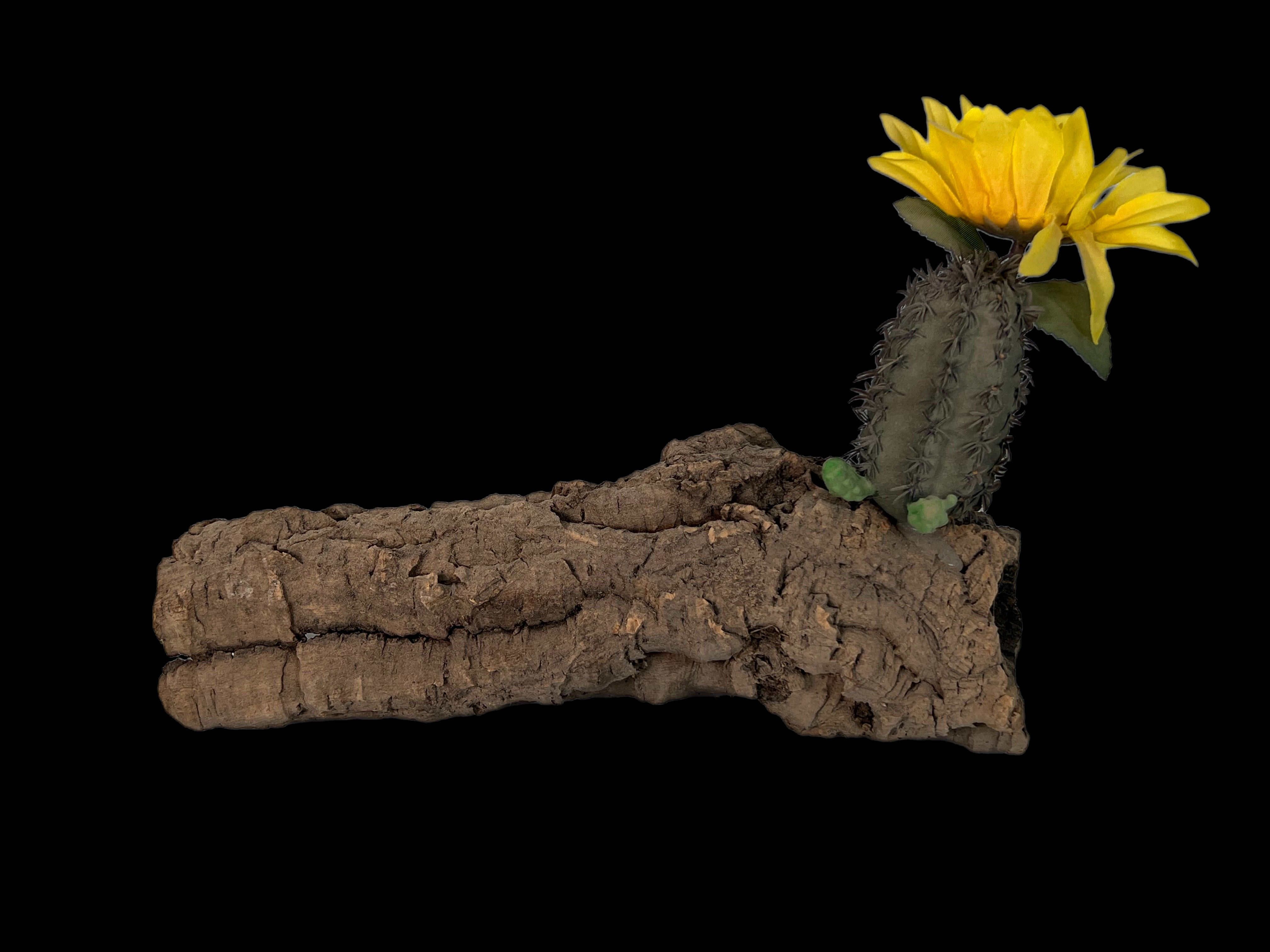 Decorative Wood , Cork