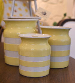 Rare TJ Green Cornishware Cannister Set
