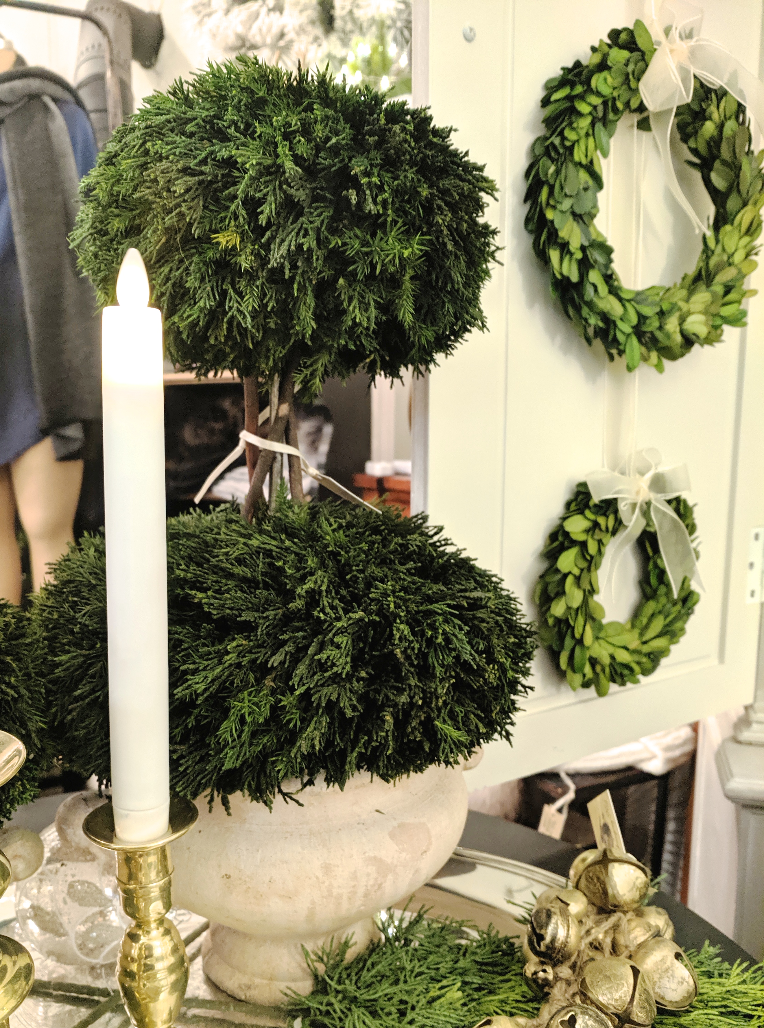 Cypress Tuscan Topiary