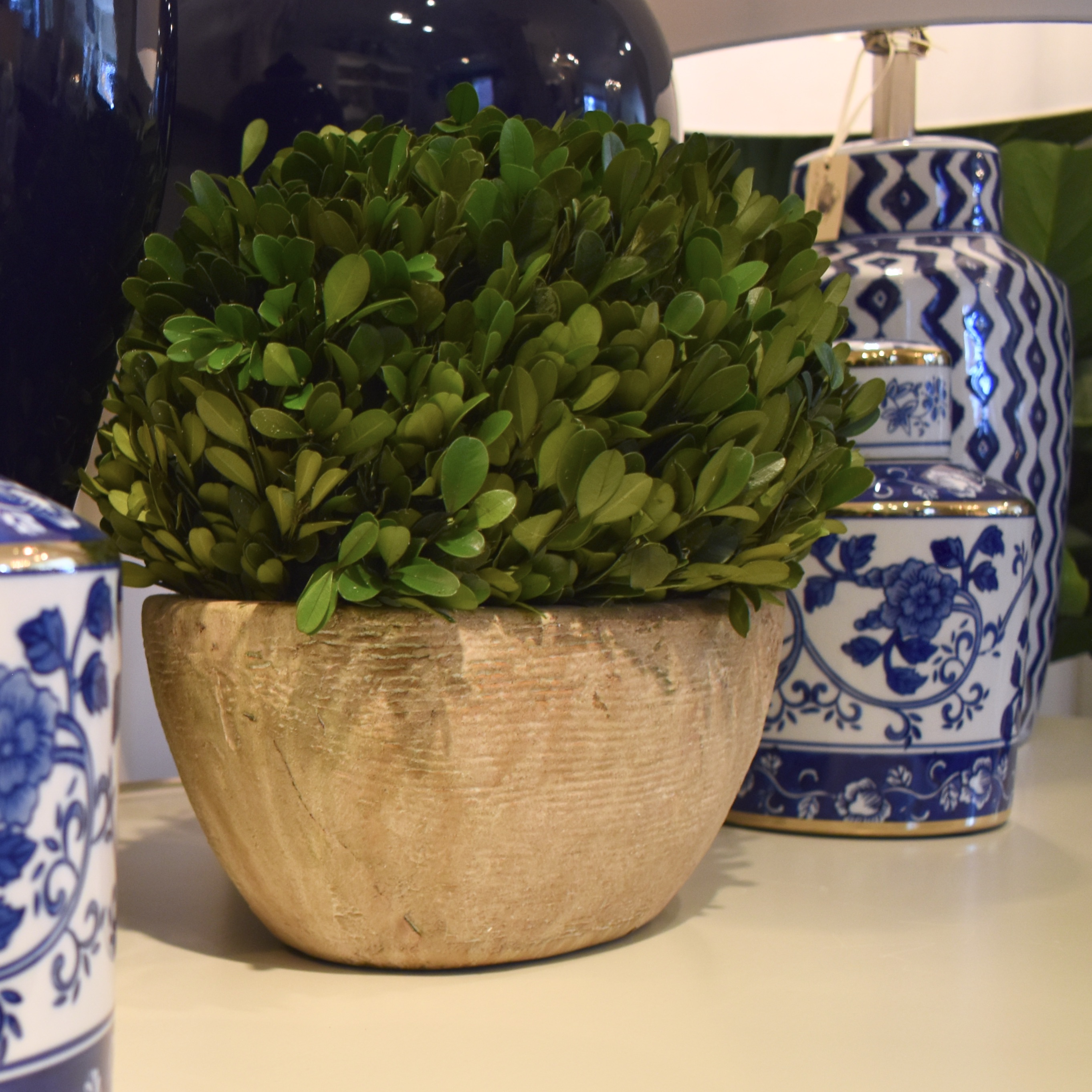 Preserved Boxwood