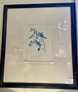 Vintage Bird Prints