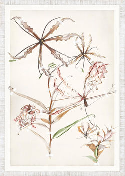 Ruche Flora XII