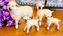 Beswick Lambs set of 4
