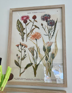 Floral Chart Print