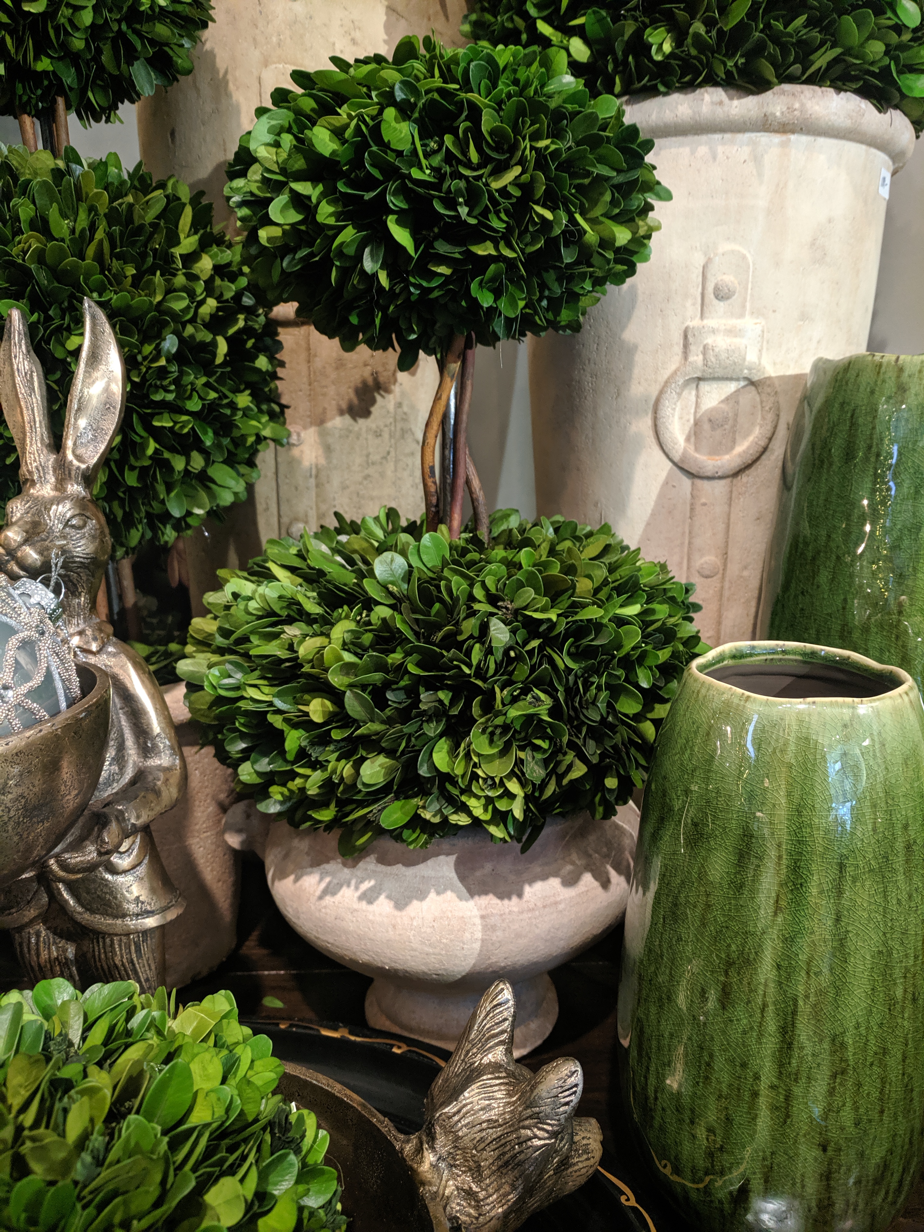 Boxwood Tuscan Topiary
