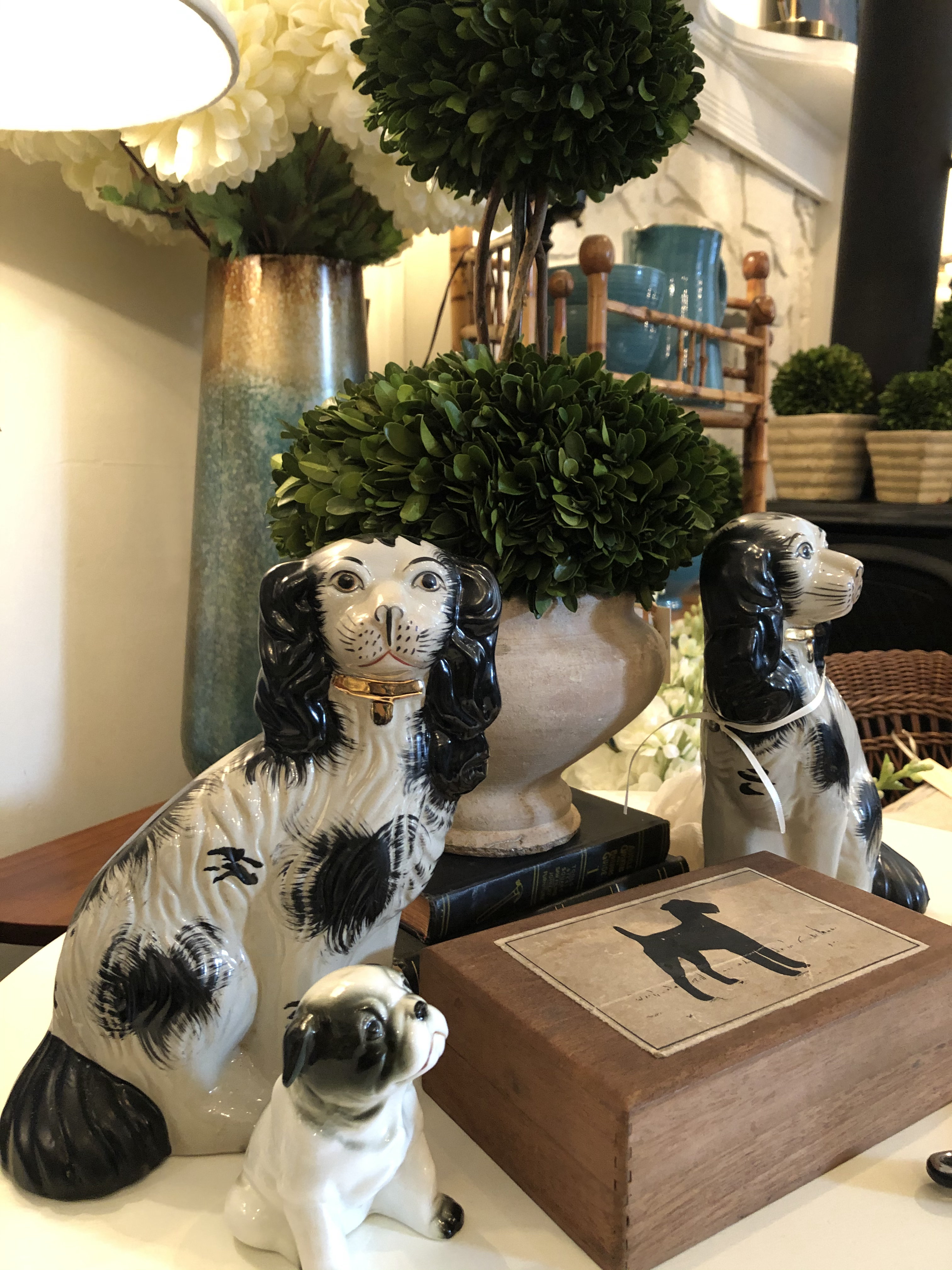 King Charles Spaniels
