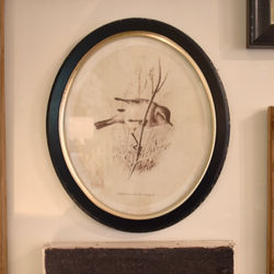 Oval Framed Bird