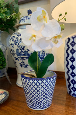 5" Small Blue and White Cross Hatch Planter