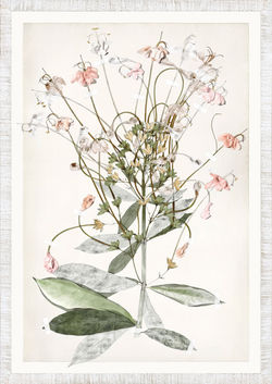 Ruche Flora VII