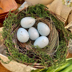Birds Nest