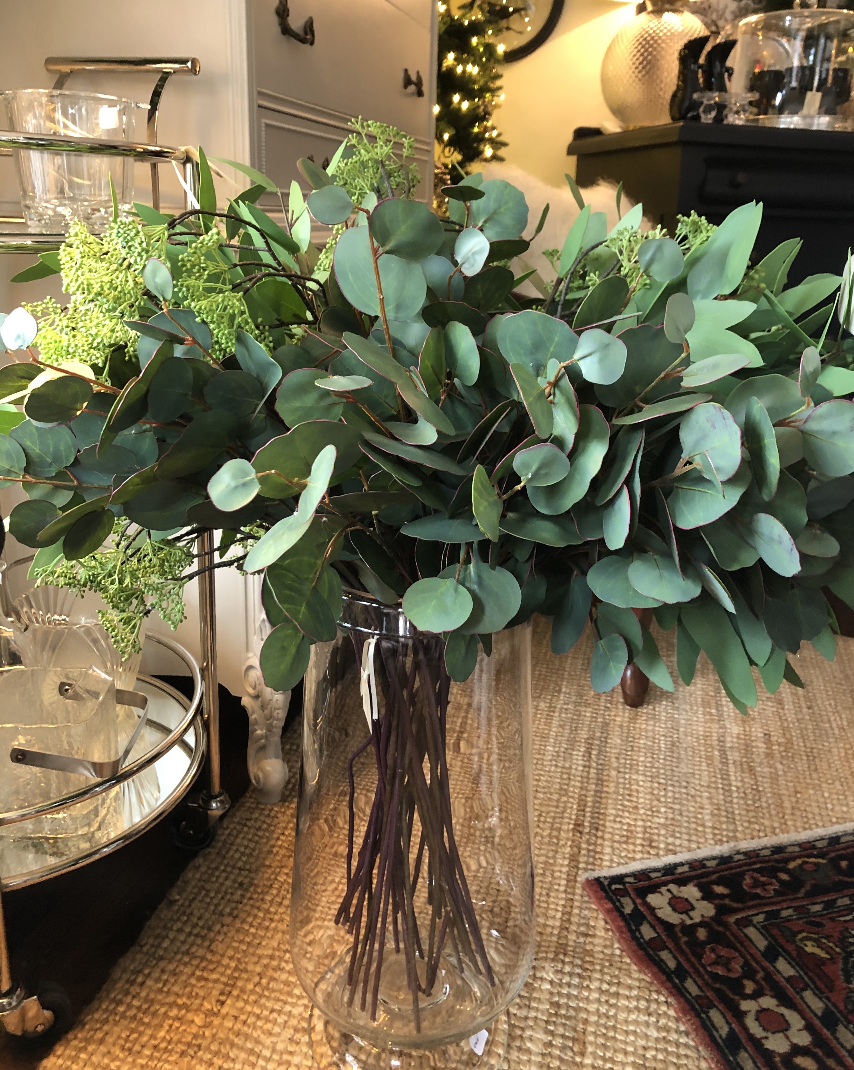 Tall Eucalyptus Stems