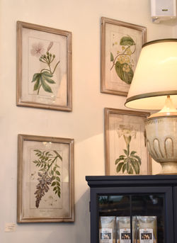Framed Vintage Style Botanical Prints