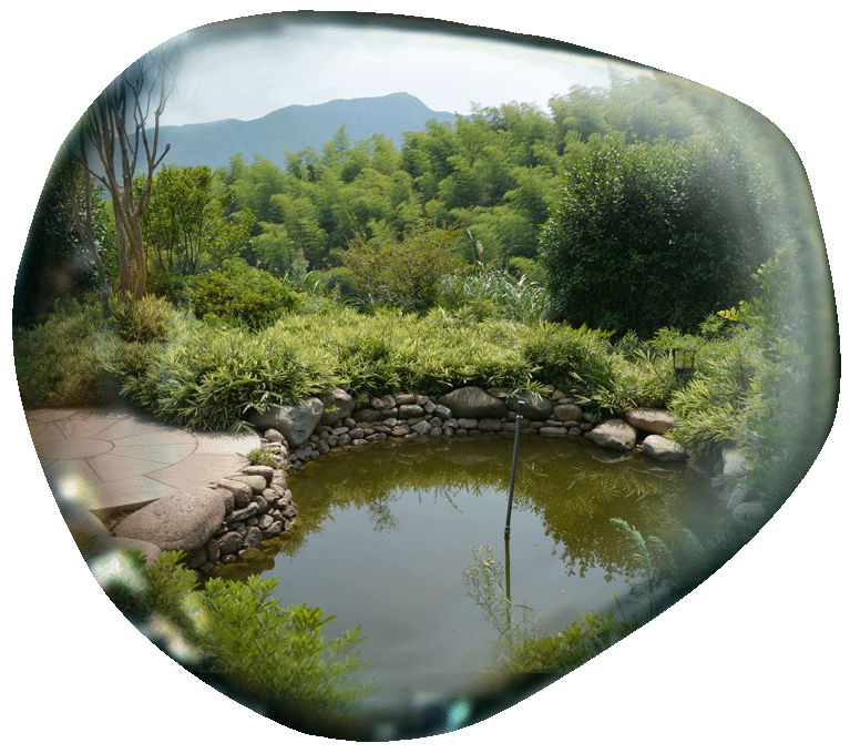 Bamboo drainage garden, Anji, Zhejiang Province, China