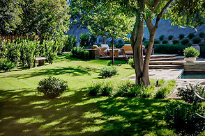 HiddenHills-6-1024x683.jpg