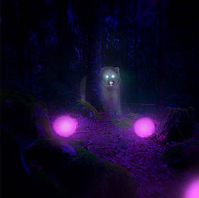 Example Animations0 (0;00;03;29)_1 copy