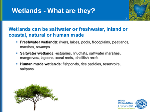 World Wetlands Day 2021