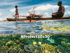 World Ocean Day 2021