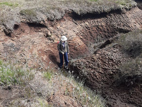 The Complex Nature of Peatland Restoration