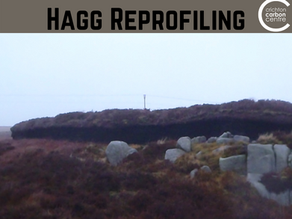 Technique of the Week: Hagg Reprofiling