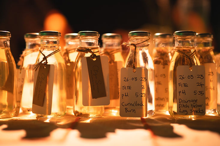 after dinner water samples 1.jpg