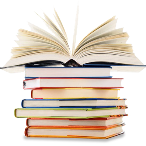 bookstack.png