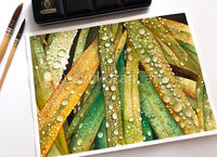 Botanical watercolor painting with realistic water droplets by Tevfik Özan