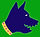 VCRT_Green_background.jpg